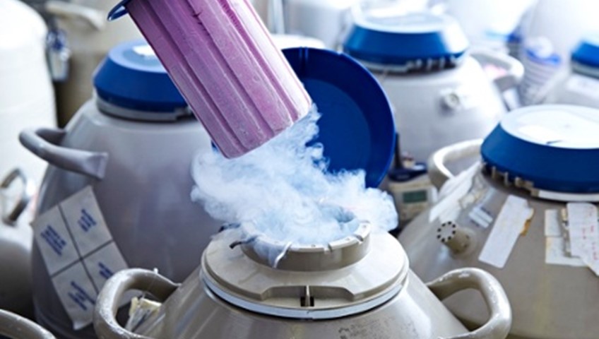 Apple and Facebook offer to freeze eggs for female employees